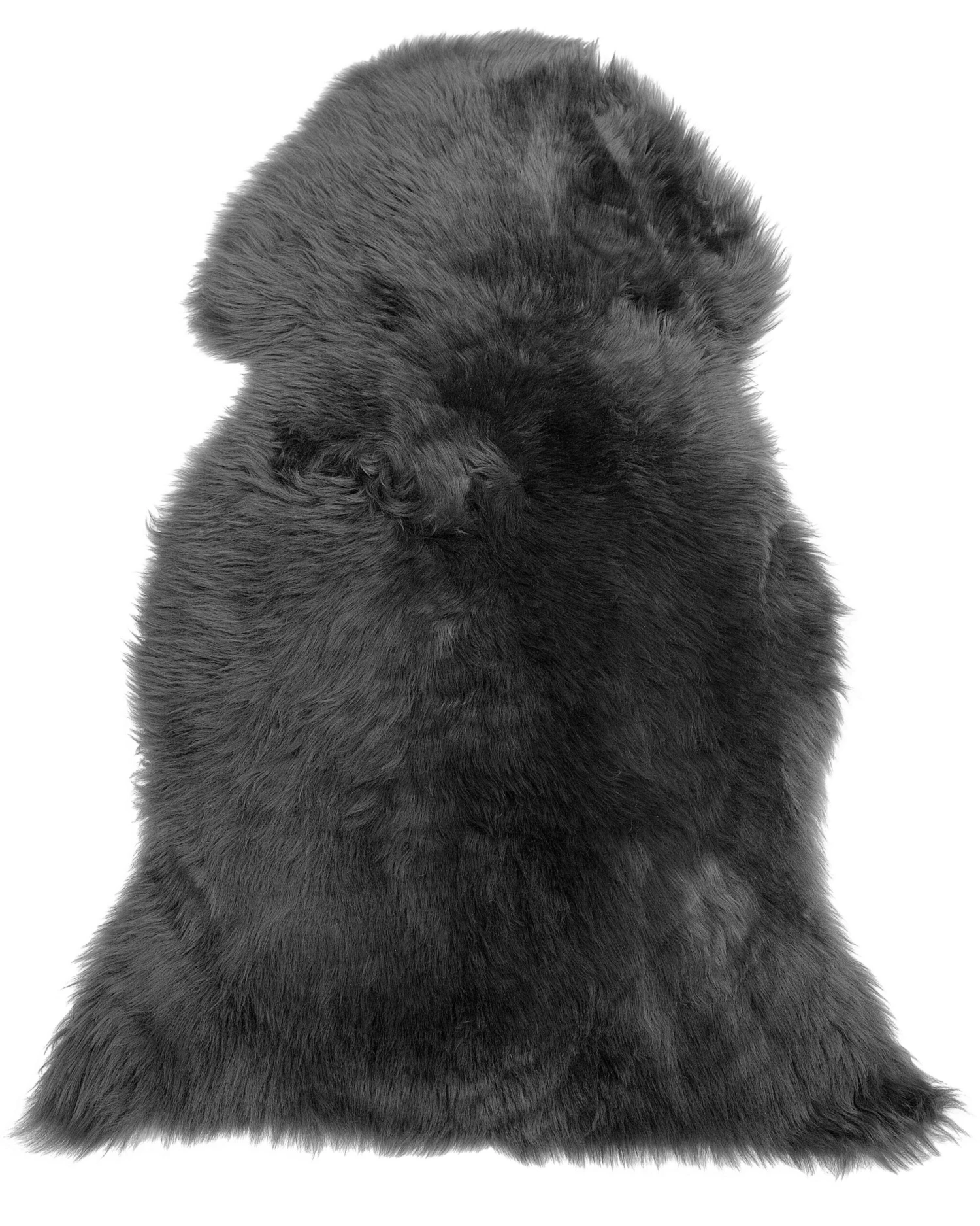 Lampaantalja Musta ULURU