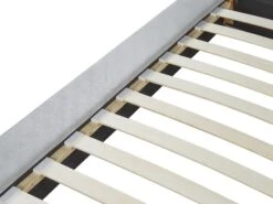 Parisänky Sametti Vaaleanharmaa 180 X 200 Cm CAVAILLON -Koti Kaluste undef src sa picid 791640 type whitesh image