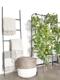 Huopa Puuvilla Beige 130 X 160 Cm TILMI -Koti Kaluste undef src sa picid 813001 type whitesh image