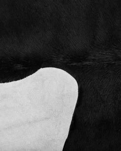 Lehmäntalja Musta NASQU Useita Kokoja -Koti Kaluste undef src sa picid 815825 type whitesh image