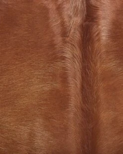 Lehmäntalja Kullanruskea NASQU Useita Kokoja -Koti Kaluste undef src sa picid 815830 type whitesh image