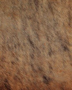 Lehmäntalja Vaaleanruskea NASQU Useita Kokoja -Koti Kaluste undef src sa picid 815837 type whitesh image