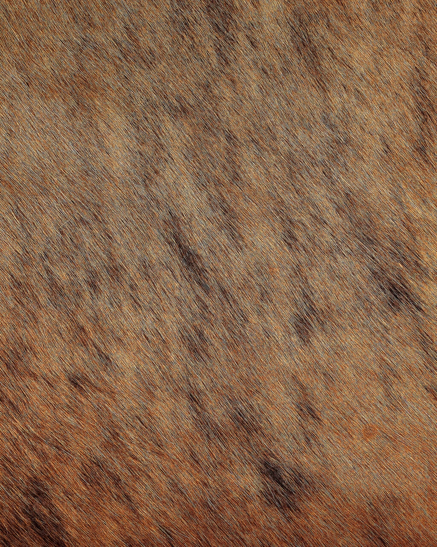 Lehmäntalja Vaaleanruskea NASQU Useita Kokoja - Image 5