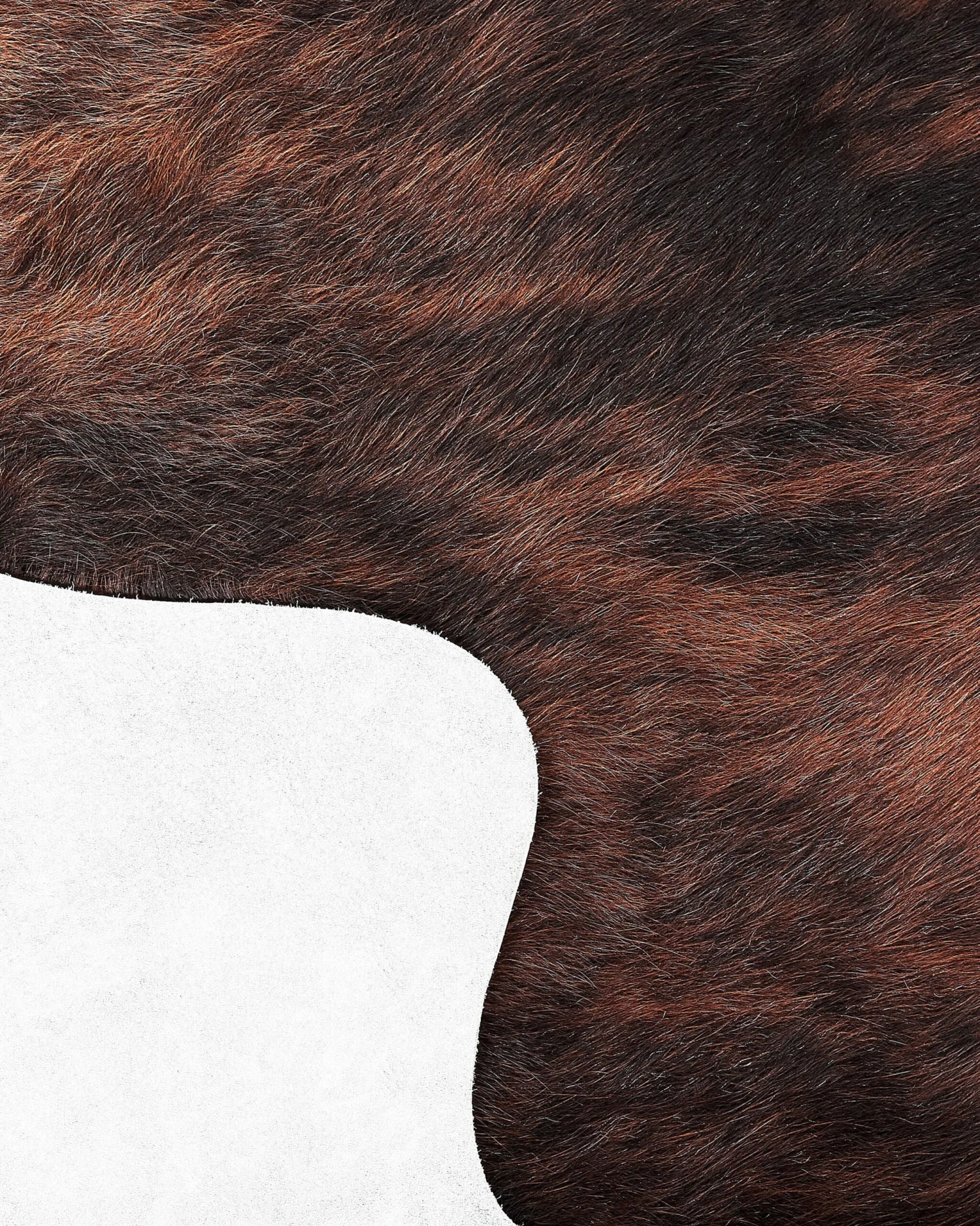 Lehmäntalja Ruskea NASQU Useita Kokoja - Image 4