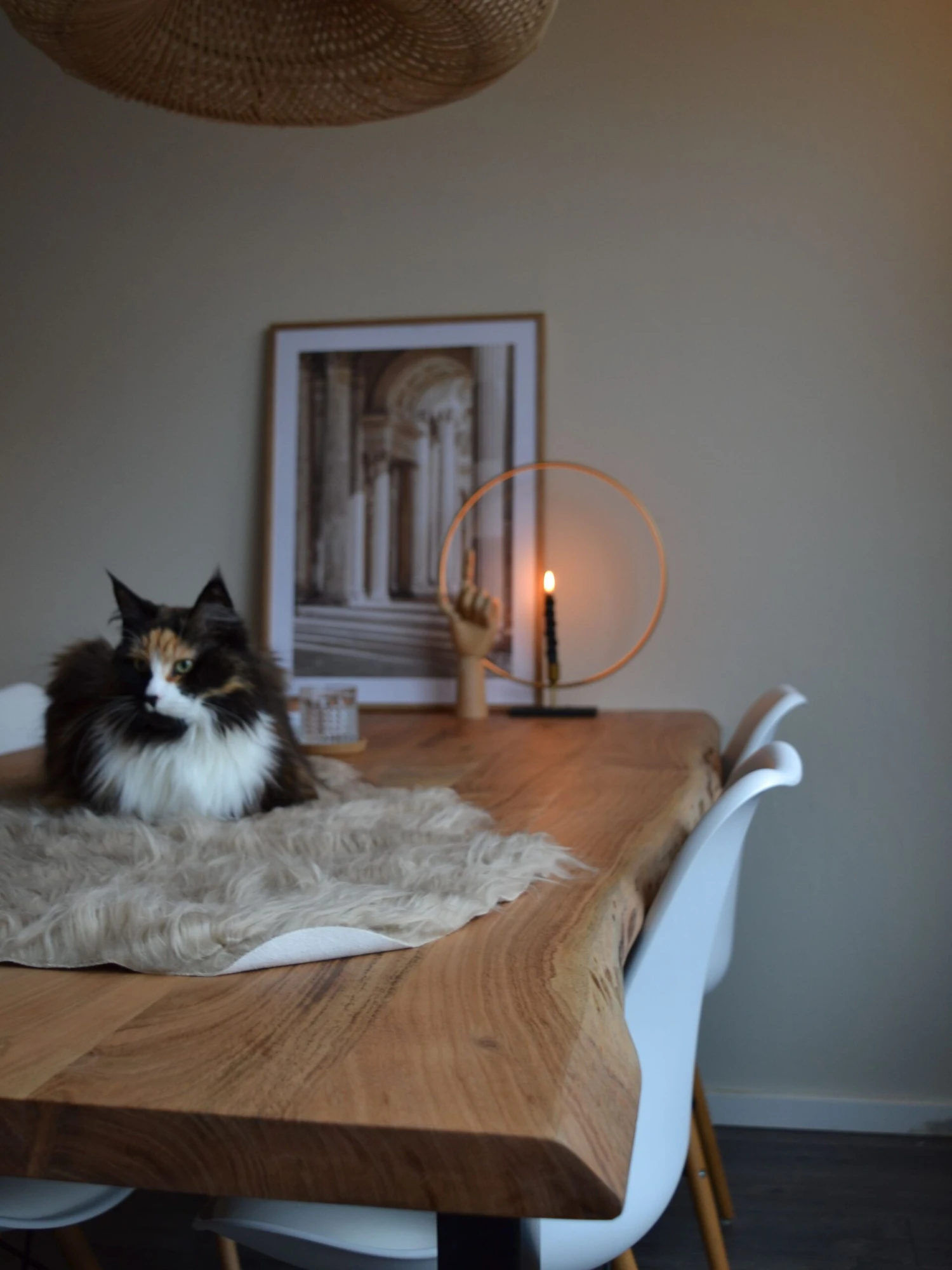 Tekotalja Beige MUNGO - Image 5