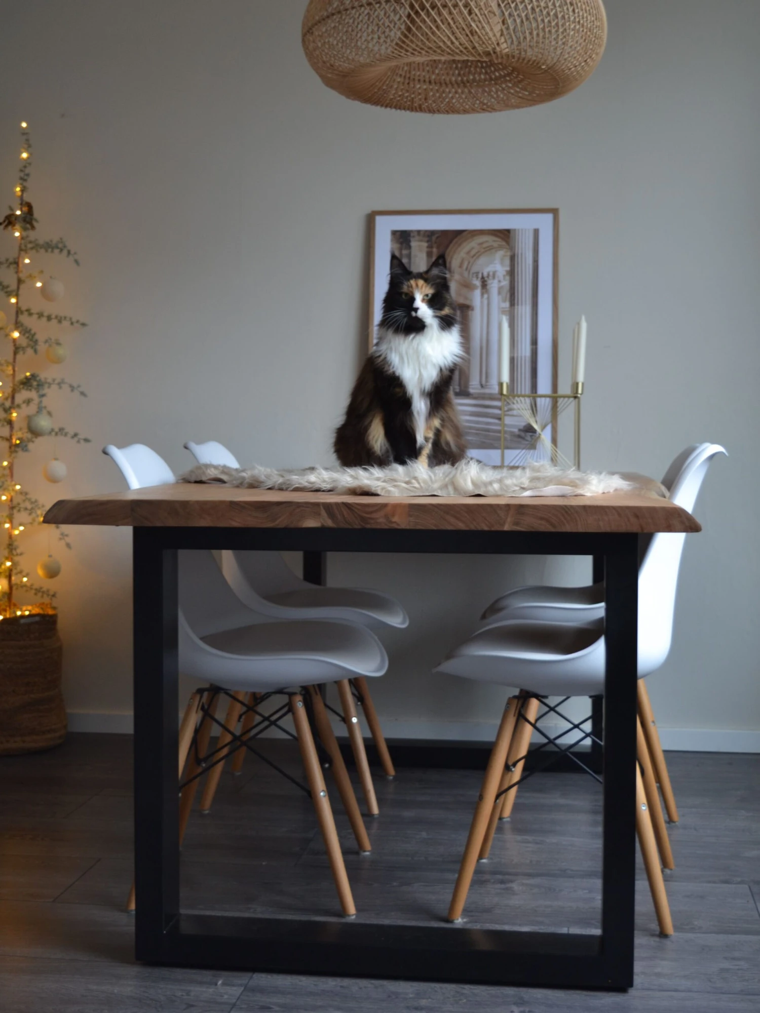 Tekotalja Beige MUNGO - Image 6