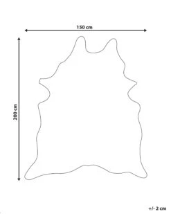 Lehmän Tekotalja Täplät Beige/kulta BOGONG Useita Kokoja 12 Lehmän Tekotalja Täplät Beige/kulta BOGONG Useita Kokoja -Koti Kaluste undef src sa picid 820379 type whitesh image