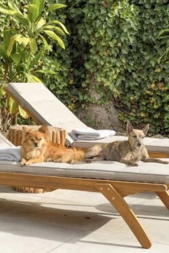 Aurinkotuolin Tyynyt Beige CESANA 15 Aurinkotuolin Tyynyt Beige CESANA -Koti Kaluste undef src sa picid 831908 type whitesh image