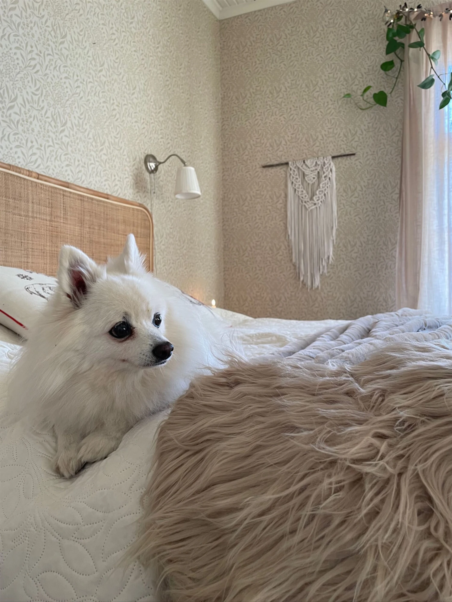 Tekotalja Beige MUNGO - Image 8