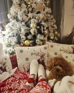 Punainen Huopa 150 X 200 Cm VANTAA -Koti Kaluste undef src sa picid 853772 type whitesh image